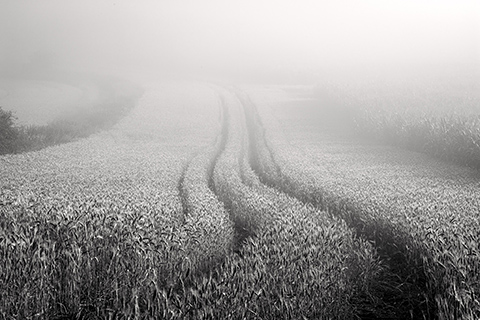 V polích nad přívozem